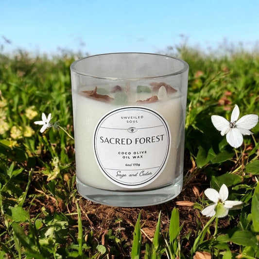 Sacred Forest Candle 6 oz